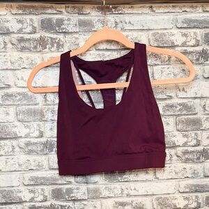 Fabletics Deep Purple Sports Bra